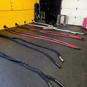 484366280_1200345698463642_8948531676884614744_n